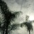 :iconsapphire-wild: