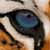 :iconsapphire4486:
