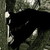 :iconsapphire899: