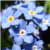:iconsapphiredragonwing: