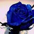 :iconsapphiremelody: