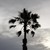 :iconsapphiron123: