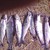 :iconsappington8: