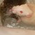 :iconsappychloey: