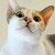 :iconsara-chan96: