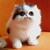 :iconsara1234567: