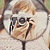 :iconsaraawwr: