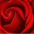 :iconsarad: