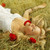 :iconsarah-1992-dk: