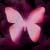 :iconsarah-alice: