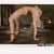 :iconsarah-anya: