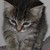 :iconsarah-is-soda: