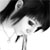 :iconsarah-mac:
