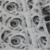 sarahchimera :iconsarahchimera:
