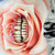 :iconsarahdeluxe: