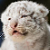 :iconsarahemsley: