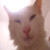 :iconsarahetz: