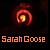 :iconsarahgoose: