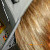 :iconsarahh213: