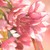 :iconsarahjoin: