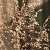 :iconsarahk13: