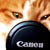 :iconsarahmeow:
