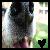 :iconsarahnicole4505: