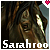 :iconsarahroo: