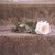 :iconsarahsassafras1: