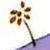 :iconsarahschueller: