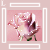 :iconsarahss: