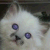 :iconsarahtehgreat:
