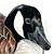 :iconsarahthesketcher: