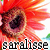 :iconsaralisse: