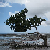 :iconsaralundstrom: