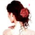 :iconsarang42:
