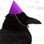 :iconsarastarp79: