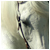 :iconsarawi: