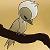 :iconsarawrx3: