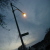 :iconsarc0phagi: