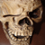 :iconsarcastic-ninja:
