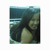 :iconsarcpop: