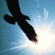 :iconsardistri: