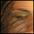 :iconsarebearr: