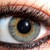:iconsareeey: