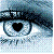 :iconsarey-bear: