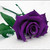 :iconsaria2486: