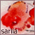 :iconsariia:
