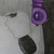 :iconsarina12: