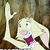 :iconsarinspill: